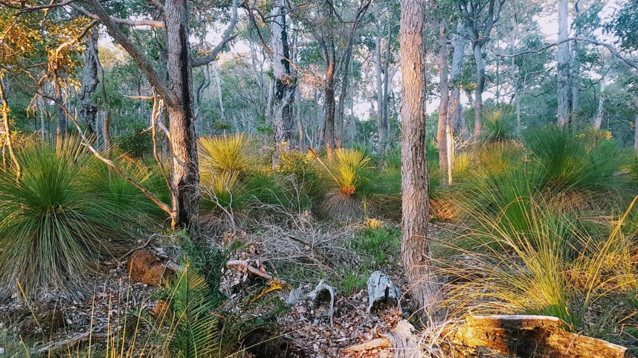 Bussells Bushland Cottages Margaret River Kültér fotó