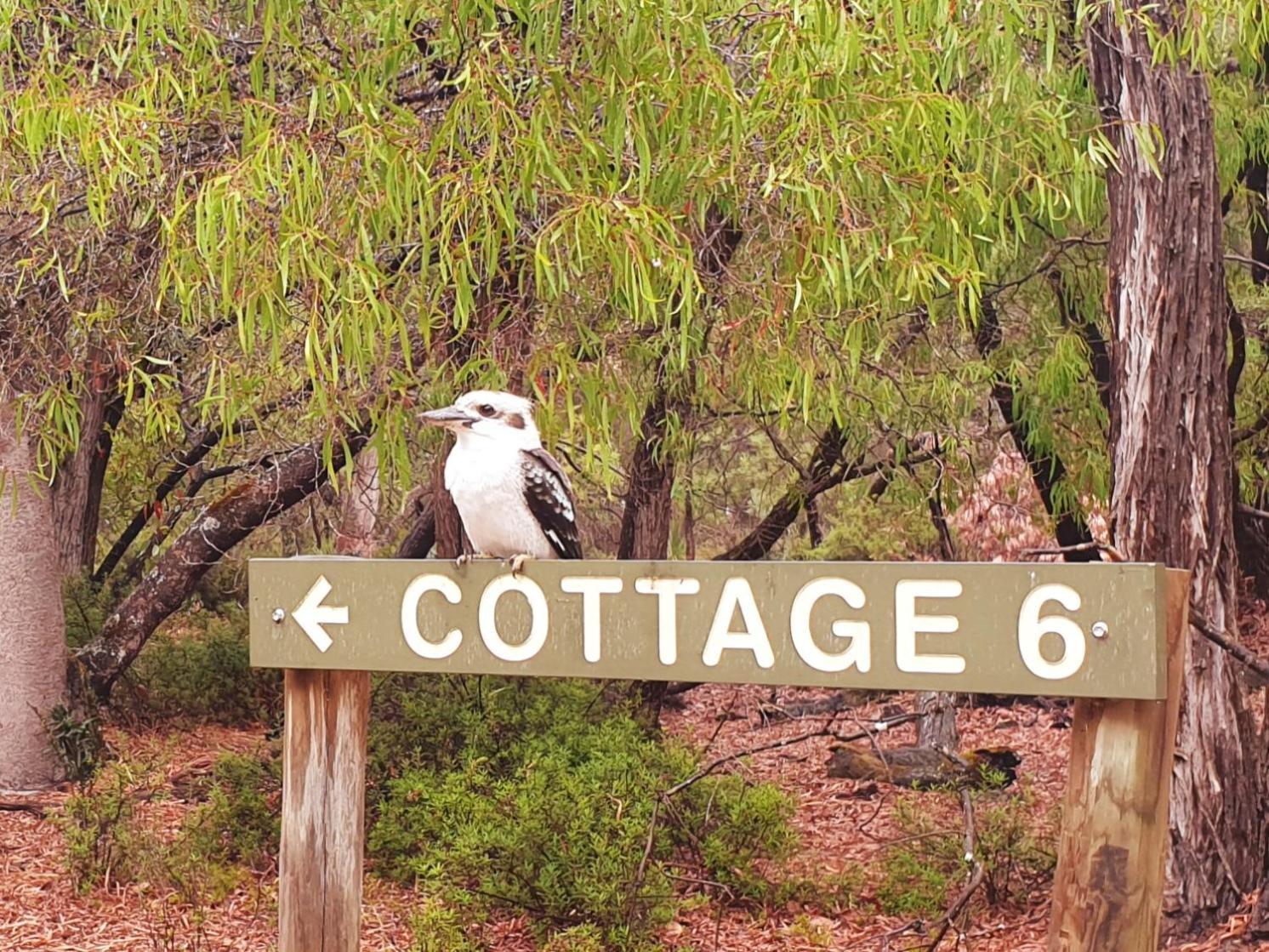 Bussells Bushland Cottages Margaret River Kültér fotó