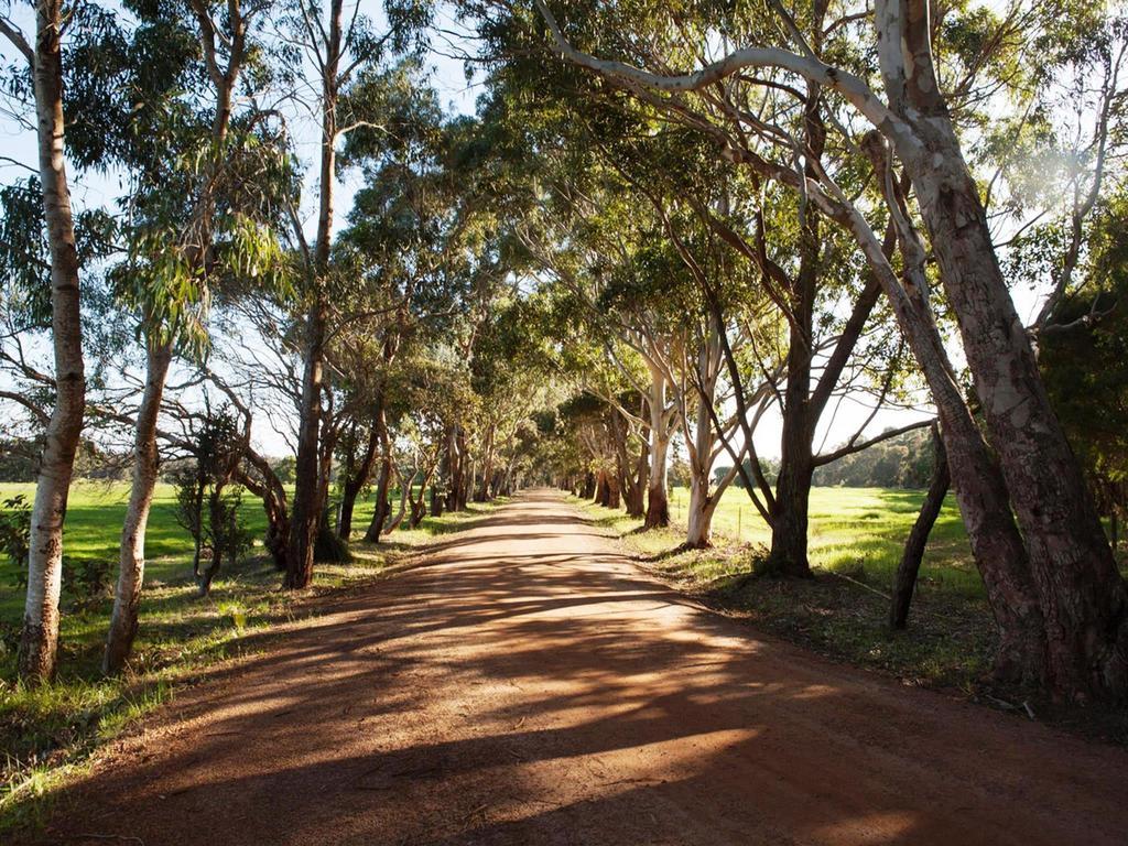 Bussells Bushland Cottages Margaret River Kültér fotó