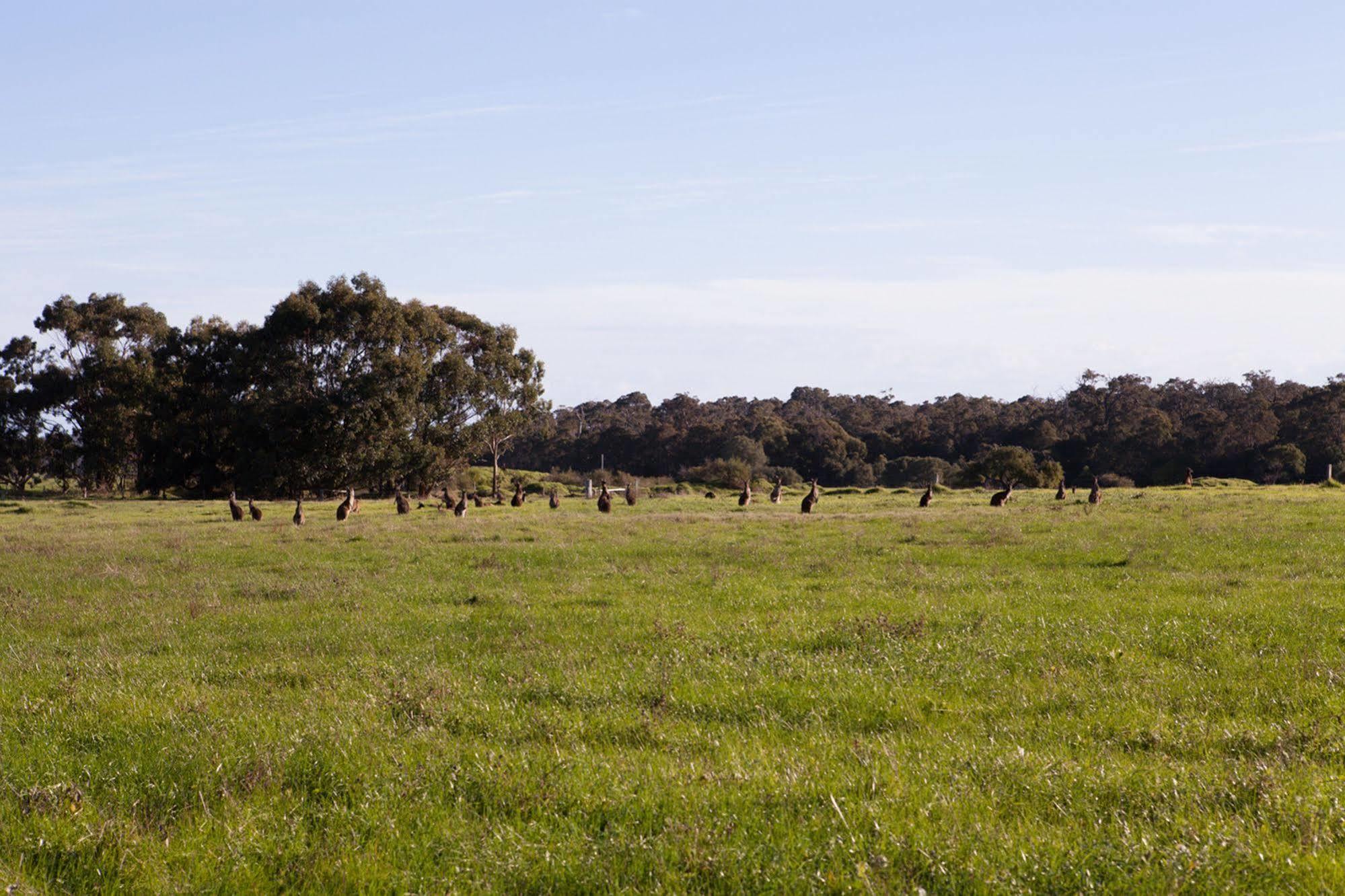 Bussells Bushland Cottages Margaret River Kültér fotó